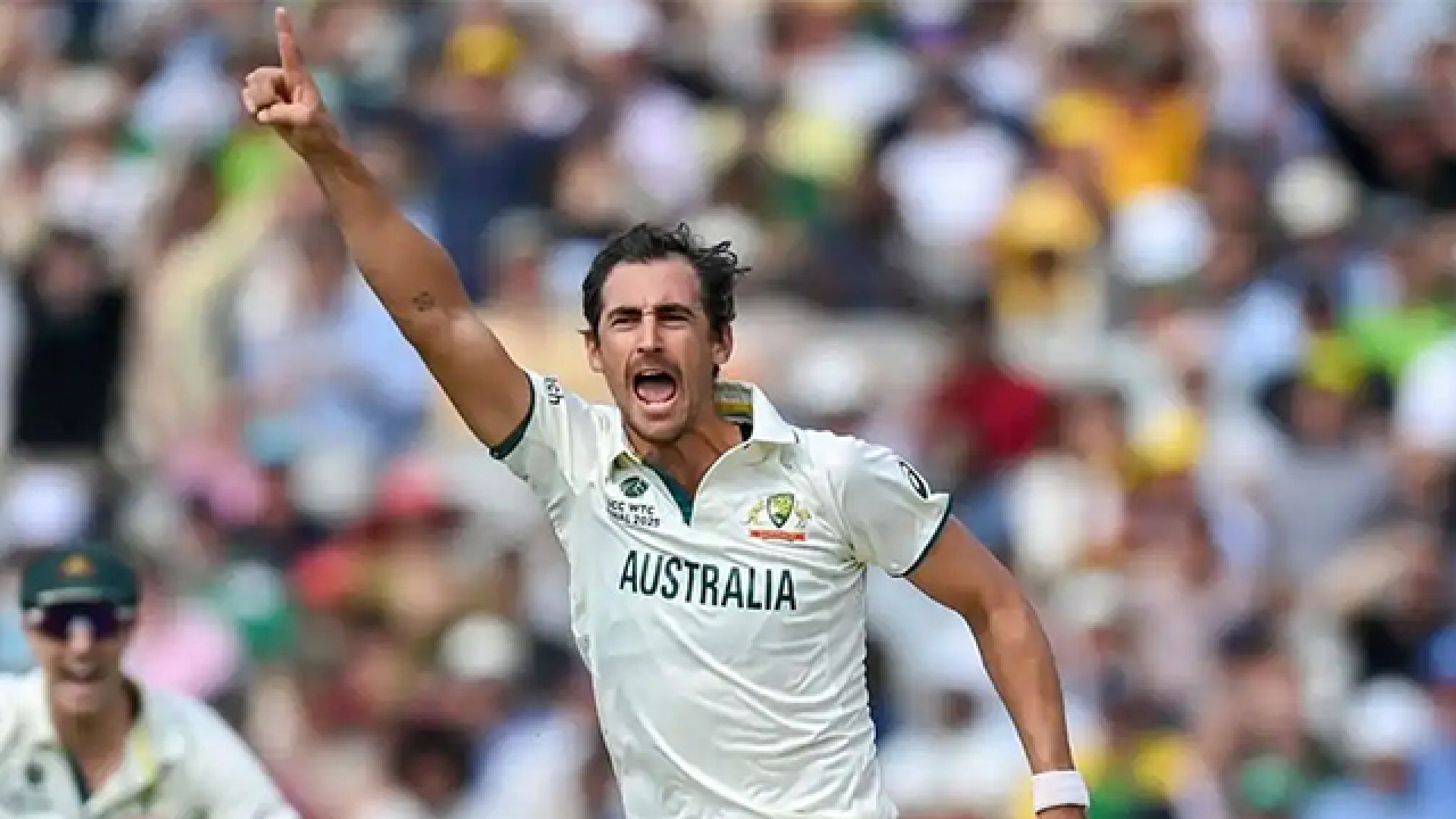 ডিআরএস নিয়ে আইসিসিকে তোপ স্টার্কের